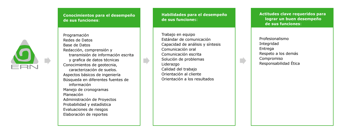 Formación de talento